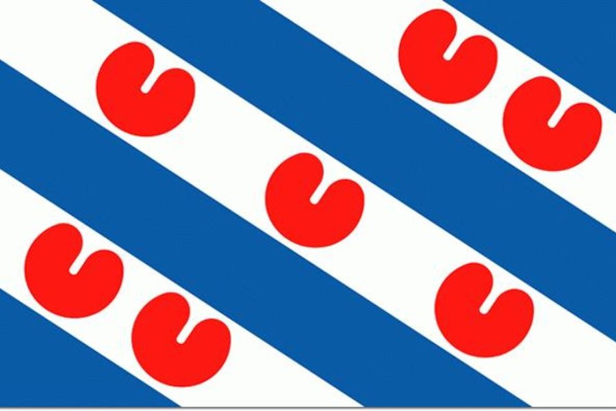 Watersport Friese vlag | Friesland Vlag